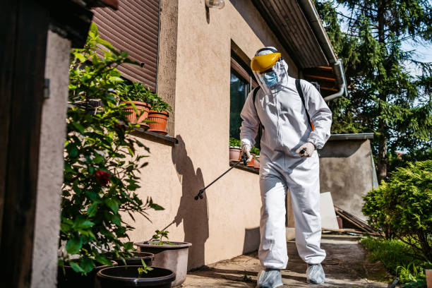 Best Pest Control Near Me  in Rochester, WA