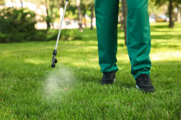 Best Pest Removal Services  in Rochester, WA
