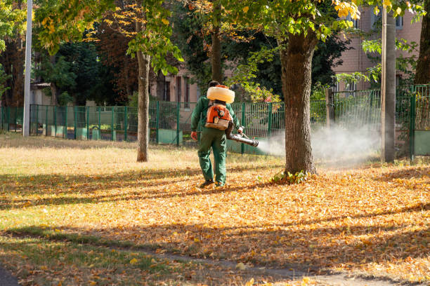 Best Bed Bug Extermination  in Rochester, WA
